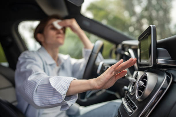 Best Thermostats and Smart Controls in Zeigler, IL